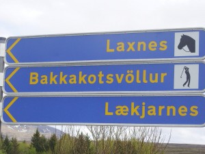 SAMSUNG DIGITAL CAMERA