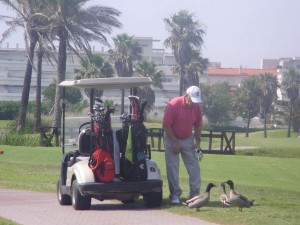 Sergei on the 11th tee at Costa Ballena. Photo: Golf1