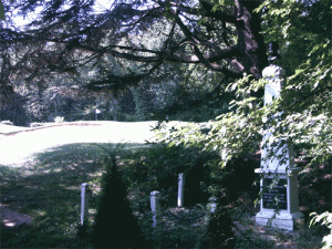 Græni völlurinn á St. Cloud