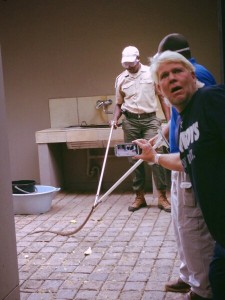 Verið að fjarlægja cobra slönguna