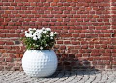 Golfkúlublómapottur