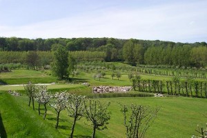 vallen mot 9an mindre